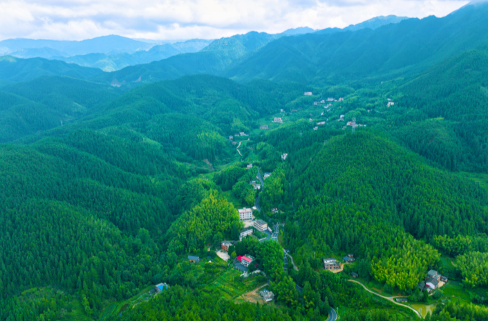 桂东：以业促治聚合力 绘就乡村振兴新图景