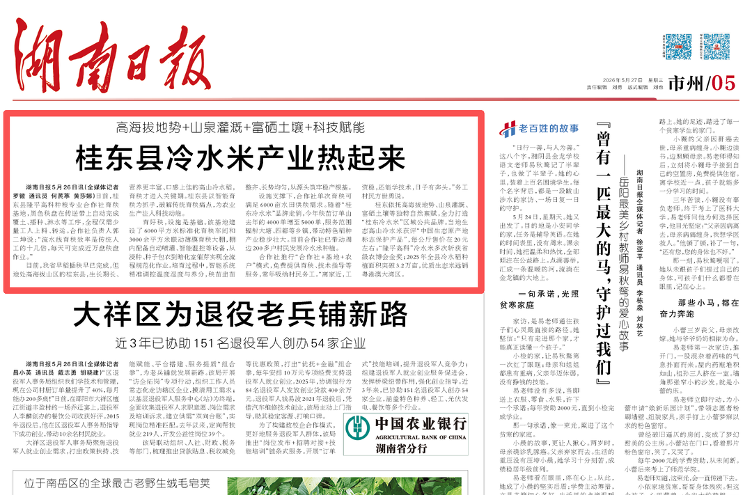 湖南日报市州头条丨高海拔地势+山泉灌溉+富硒土壤+科技赋能 桂东县冷水米产业热起来