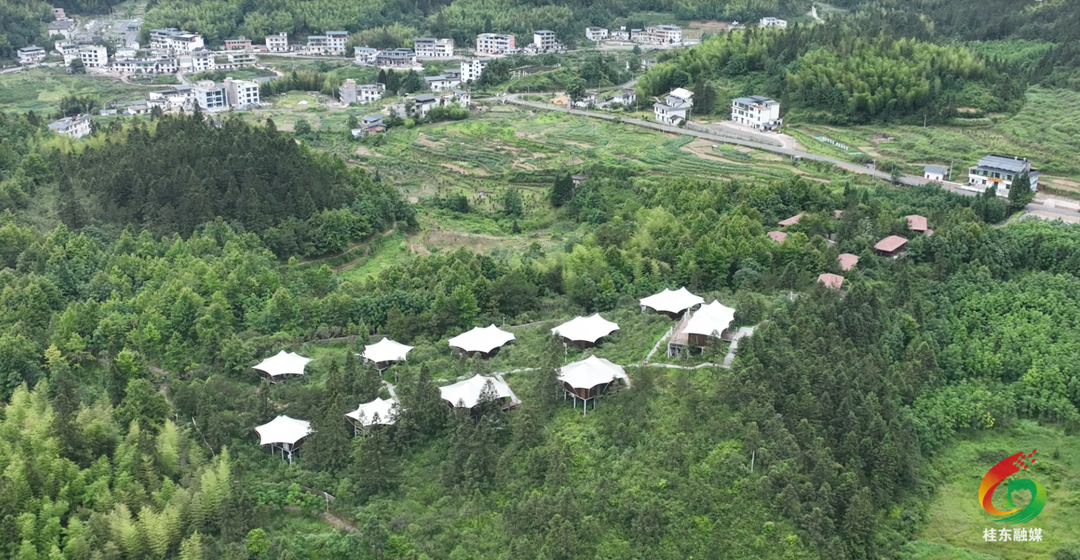 开局八好|沤江镇青竹村：培训赋能配套提质 清凉经济持续升温