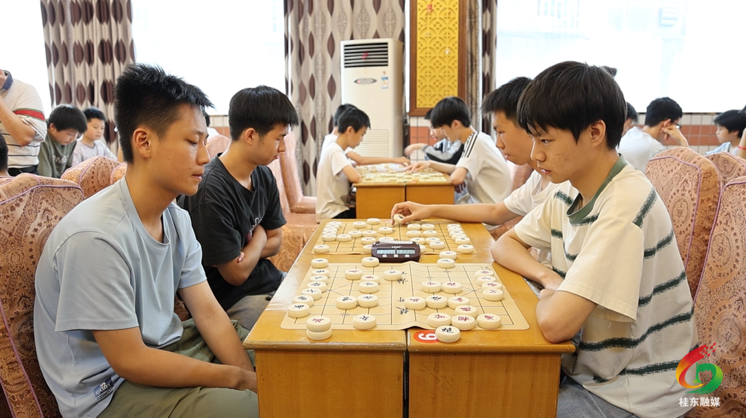 2026年桂东县“农商银行”杯象棋公开赛圆满举行