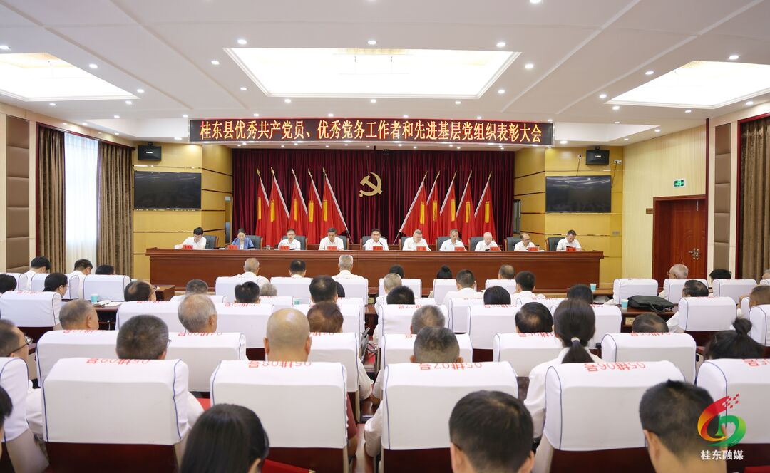 桂东县“两优一先”表彰大会召开