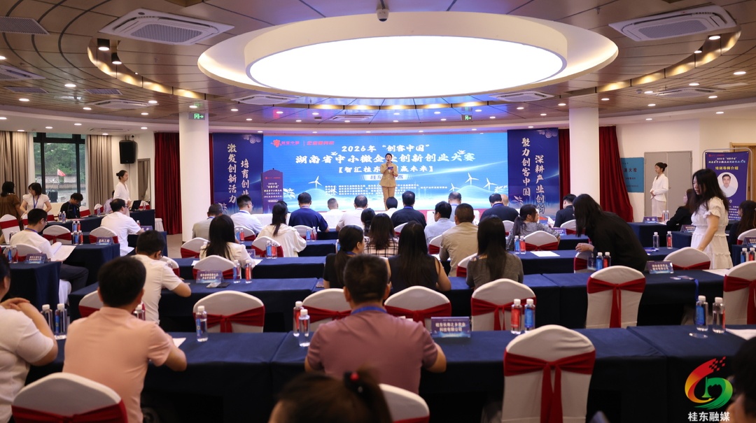 2026年“创客中国”湖南省中小微企业创新创业大赛桂东选拔赛圆满举行