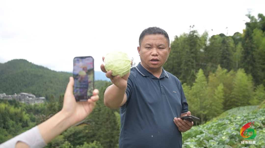 榜样的力量|王镇：返乡创业守初心 头雁领航兴桑梓