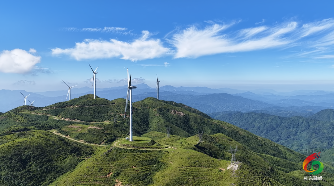 万洋山景区获评“森林富氧型”国家级避暑胜地