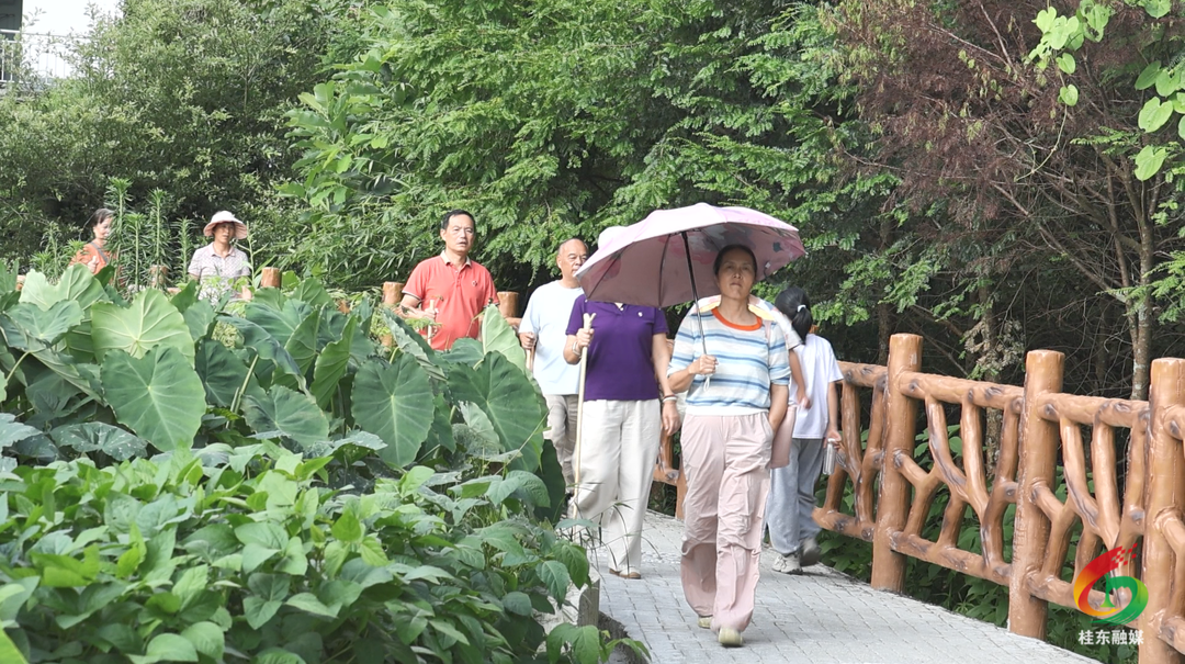沤江镇金洞村：避暑“凉方”年年升级 游客热评纷至沓来