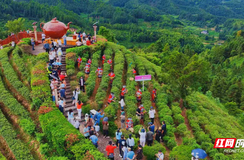 邂逅23℃清凉山城！2026湖南乡村文旅节暨桂东避暑康养季启幕