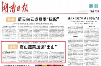 湖南日报市州头条丨桂东这口“高山鲜”，一路“酸爽”到你的餐桌上