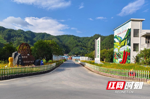 高山种好“业” 寨前绘富景 桂东寨前镇“农业产业强镇”新实践