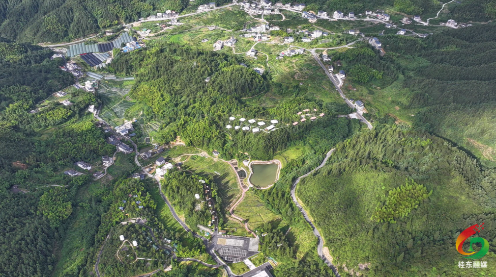 贯彻落实县党代会精神|沤江镇：扛牢大镇担当 锚定四大建设目标 奋力谱写高质量发展新篇章