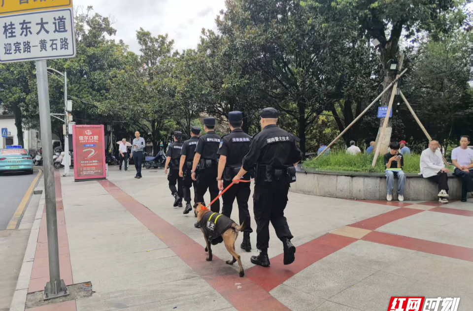 停车有位、求助有门！桂东警务擦亮“中国氧都”平安名片