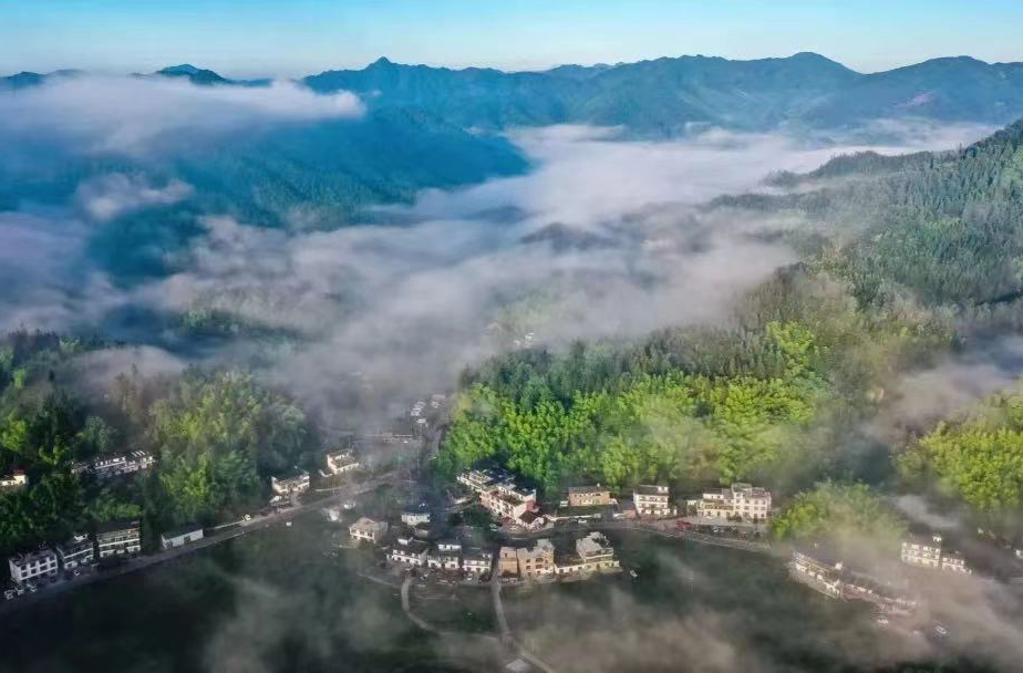 清凉旅居笔记|​青竹村的晨光