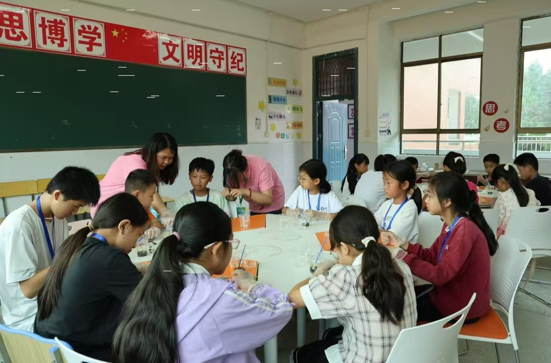 桂东县：崇文重教润乡土 多元育人筑未来