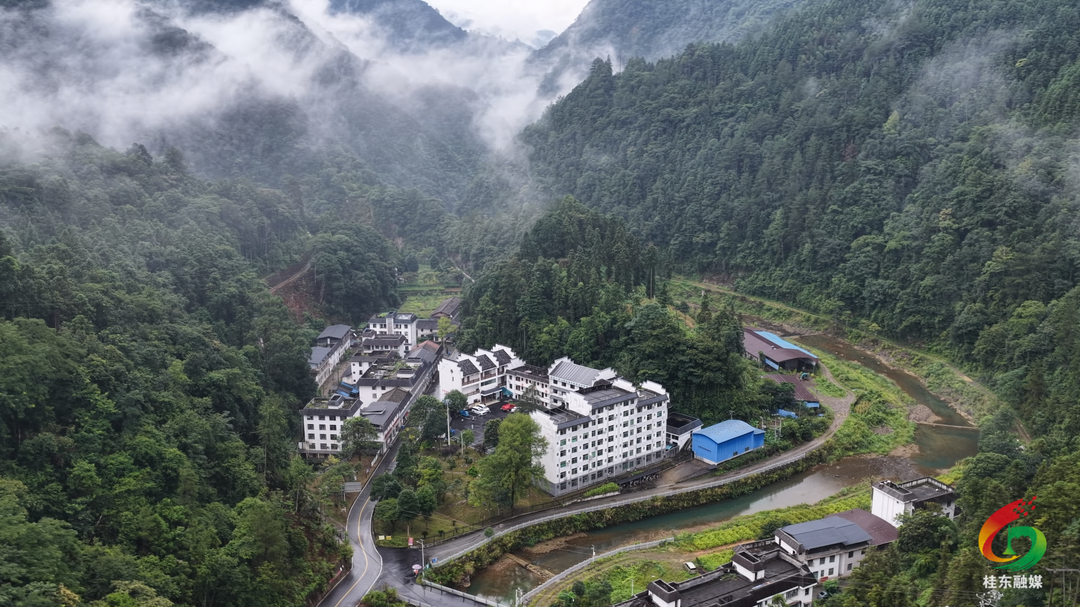 贯彻落实县党代会精神|宋坪国有林场：深耕绿土践初心 生态赋能启新程