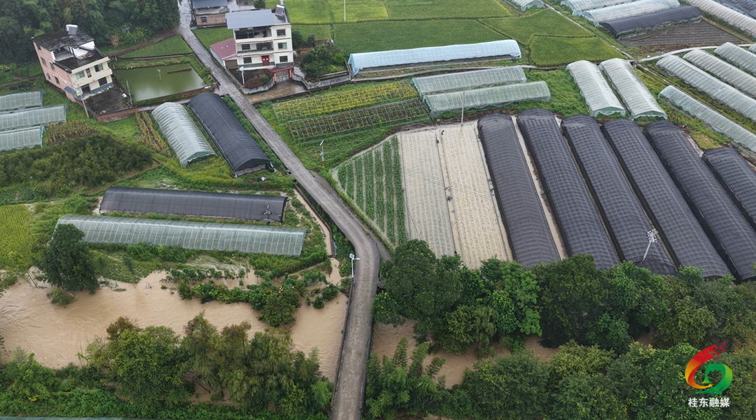 河水倒灌农田受损 桂东县干群合力生产自救