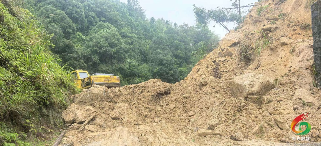 生死大营救：二十公里险途上的生命接力
