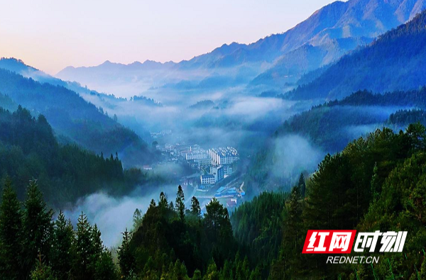 以“舍”换“得”生态兴 桂东县青山乡“护山、清河、守绿”
