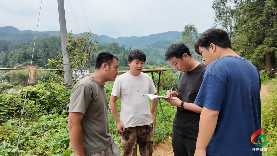 桂东县住建局：拉网排查房屋隐患 守护群众安居安全
