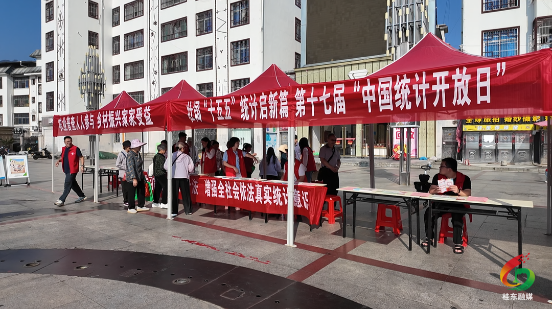 桂东县开展第十七届“中国统计开放日”集中宣传活动