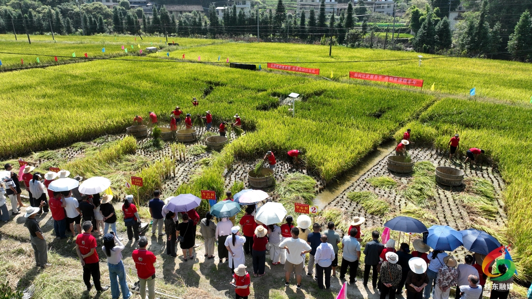 丰收节里赛农事  “中国氧都”晒丰景