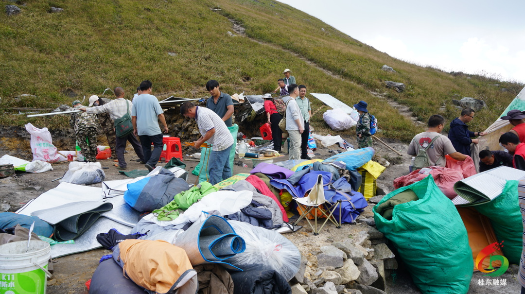 联合执法重拳整治保护区乱象 筑牢八面山生态安全屏障