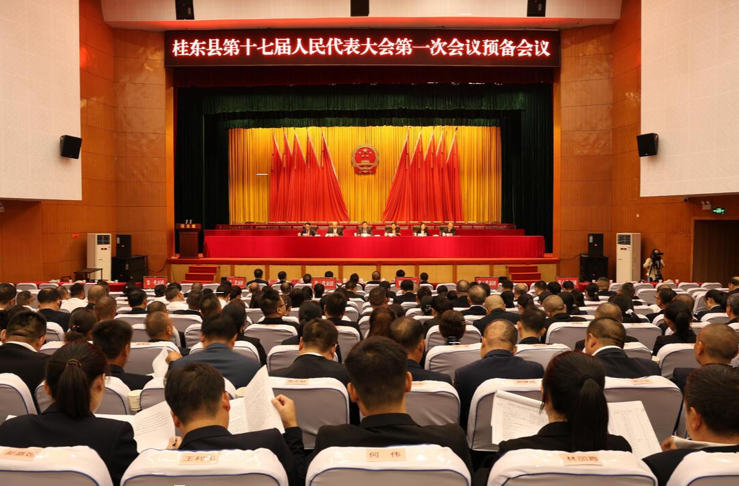 聚焦两会|县十七届人大一次会议召开预备会议