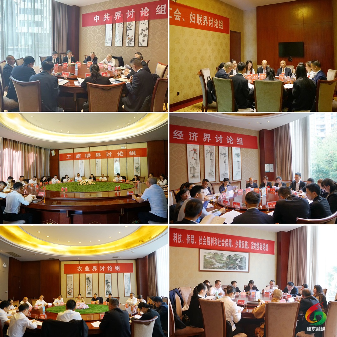 县政协委员分组协商讨论政府工作报告及计划、预算报告