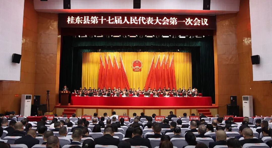 聚焦两会|划重点！一图读懂2026年桂东县政府工作报告