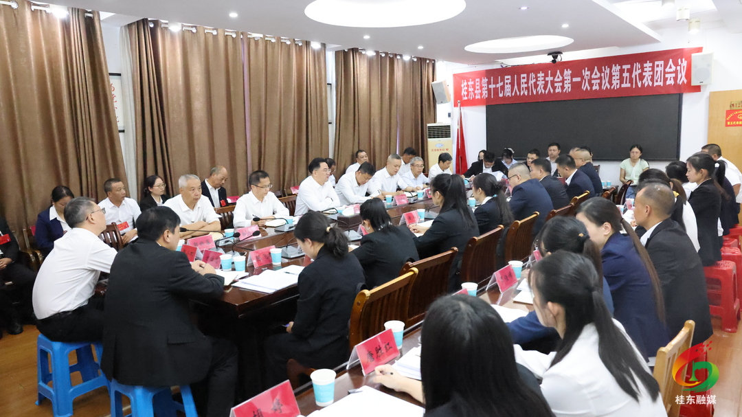 聚焦两会|尹建恒参加东洛沙田代表团审议：凝心聚力抓落实 把“规划图”变成“施工图”​
