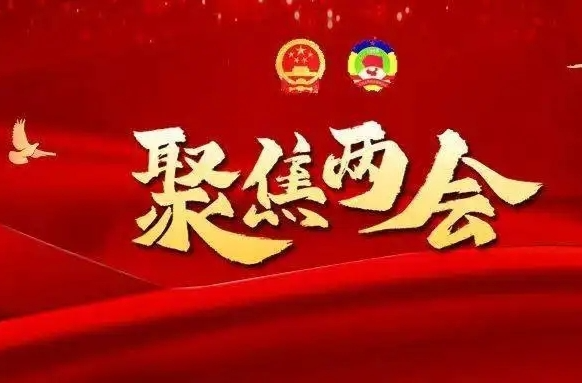 聚焦两会|县十七届人大一次会议胜利闭幕 代表信心满怀话落实