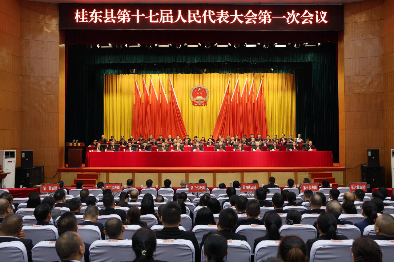 聚焦两会|桂东县十七届人大一次会议胜利闭幕