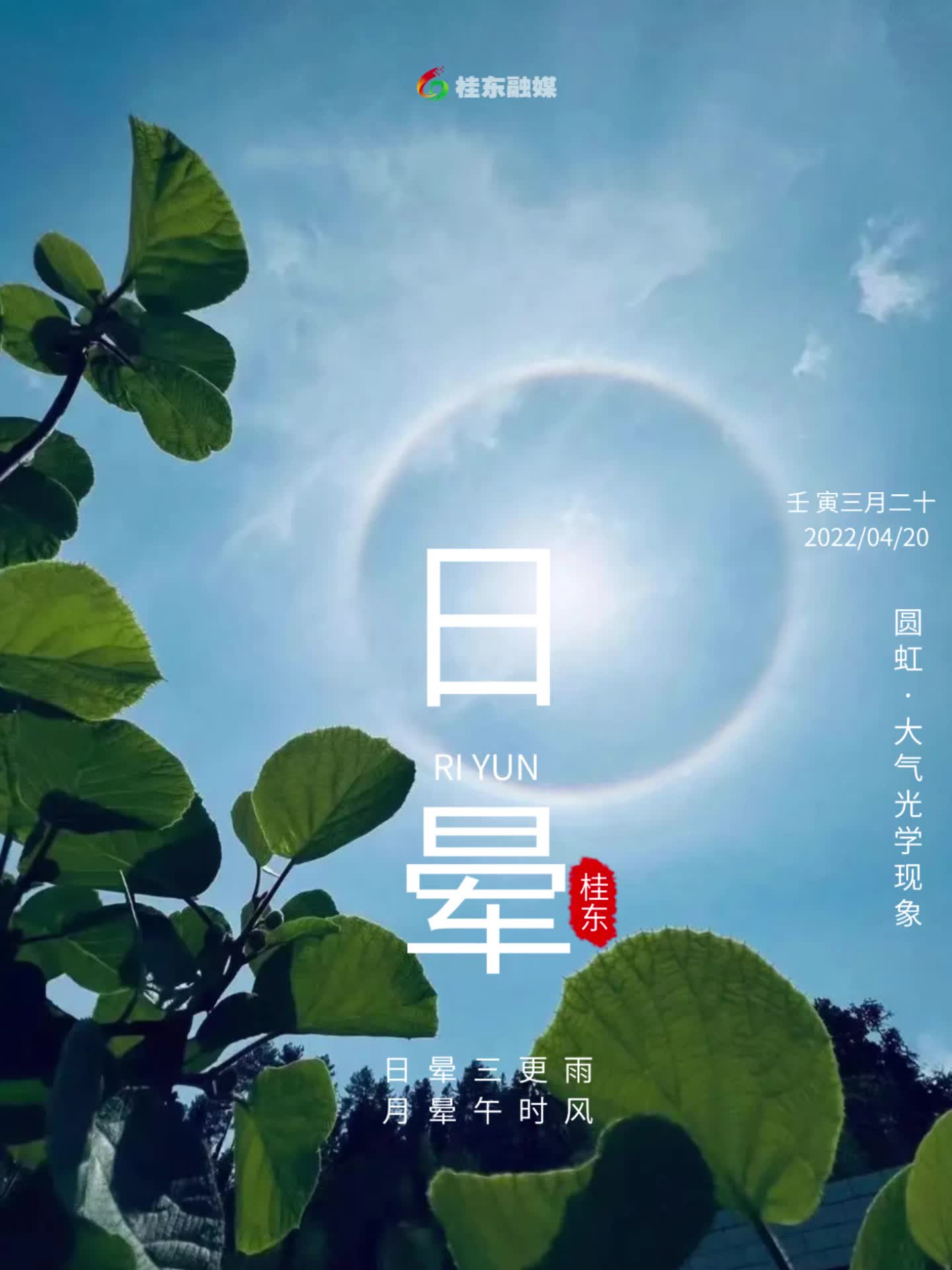 美爆了！桂东天空现日晕奇观，市民纷纷刷”圈“