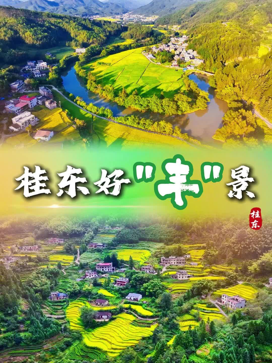 桂东好“丰”景