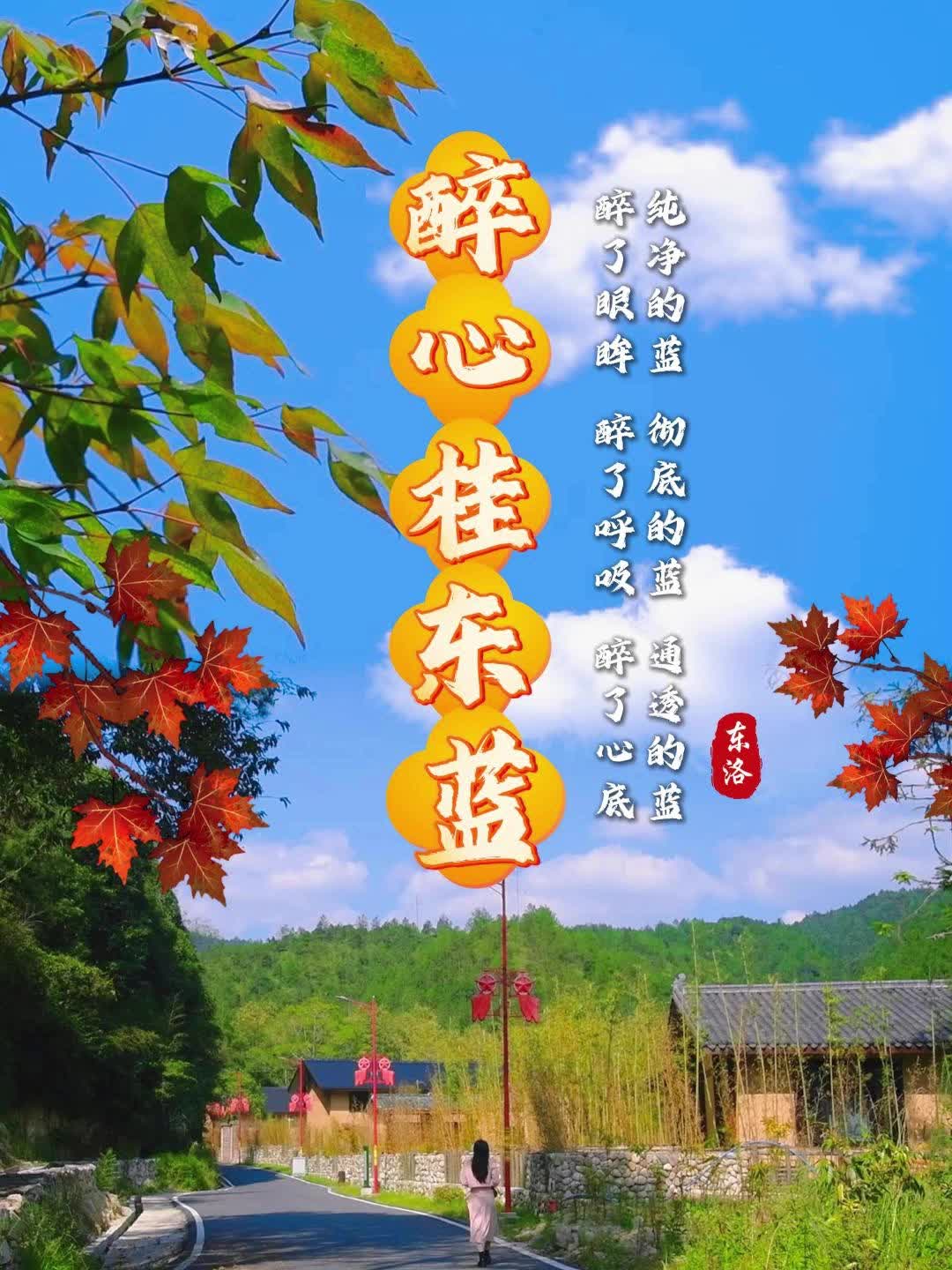 醉心桂东蓝