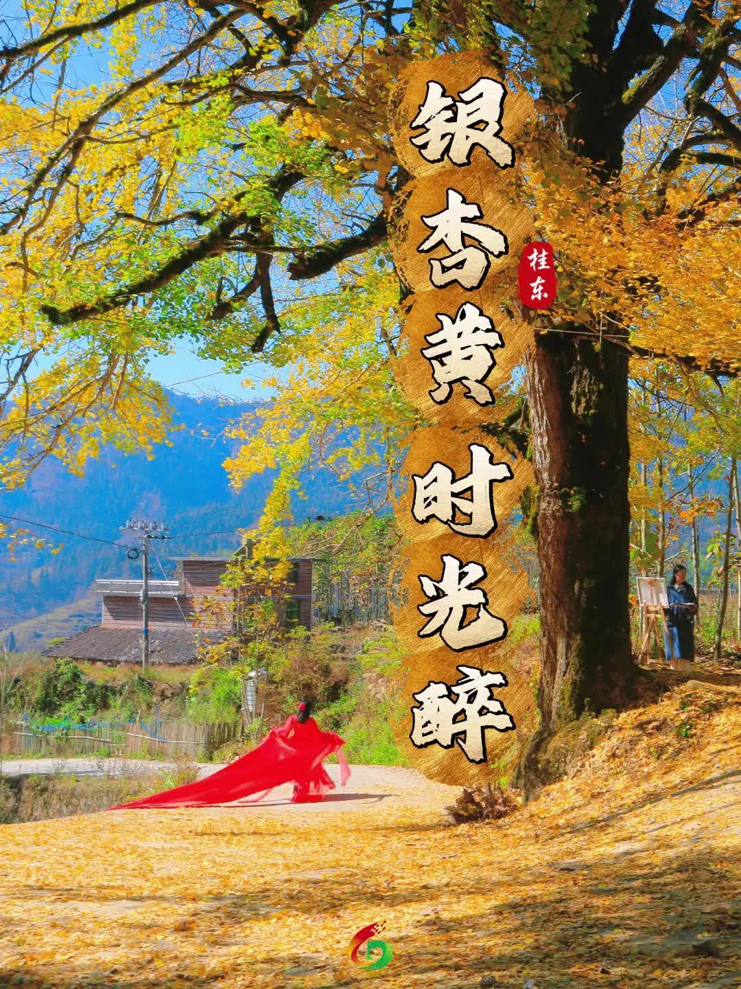 银杏