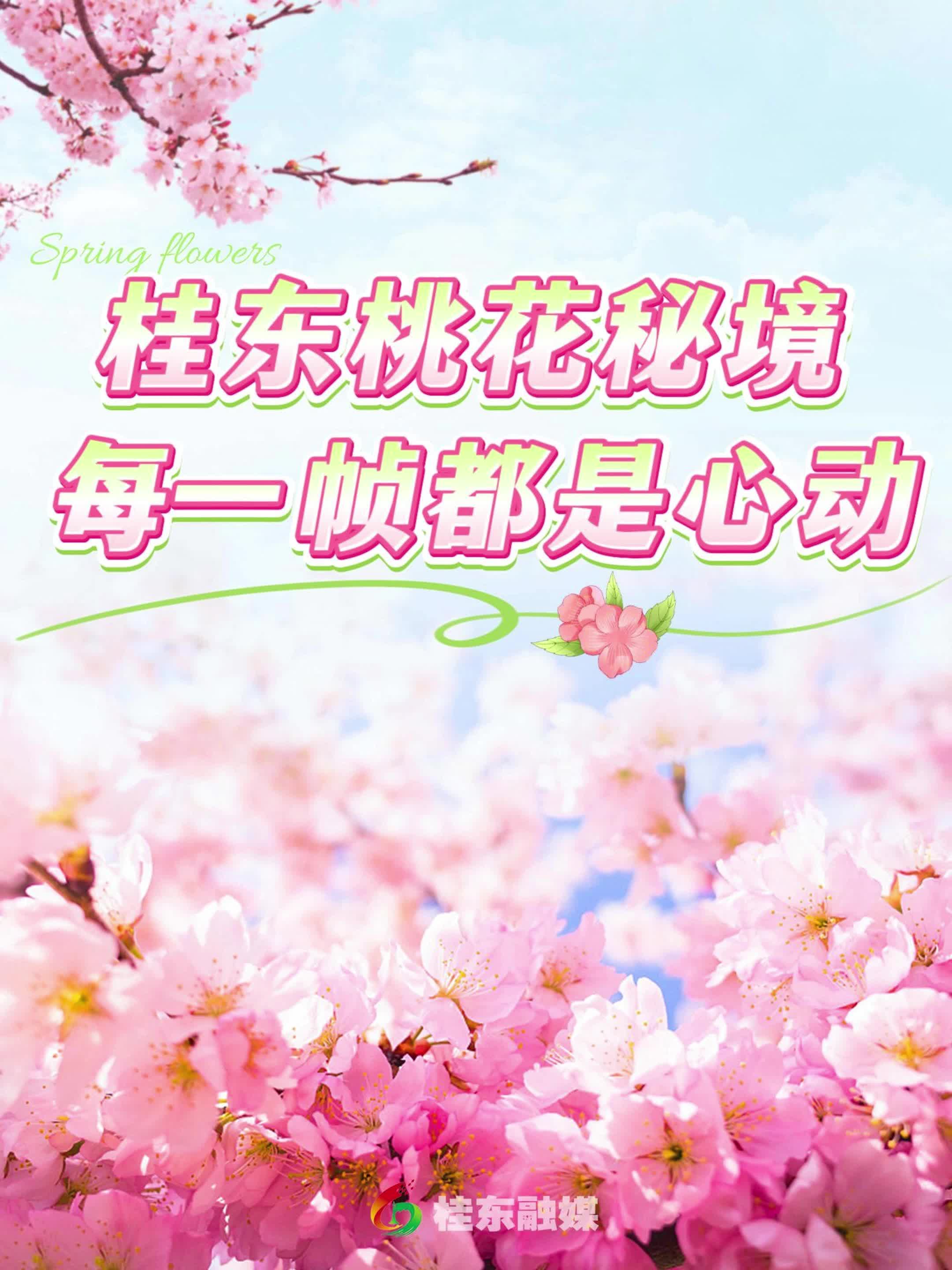 桂东桃花秘境 每一帧都是心动