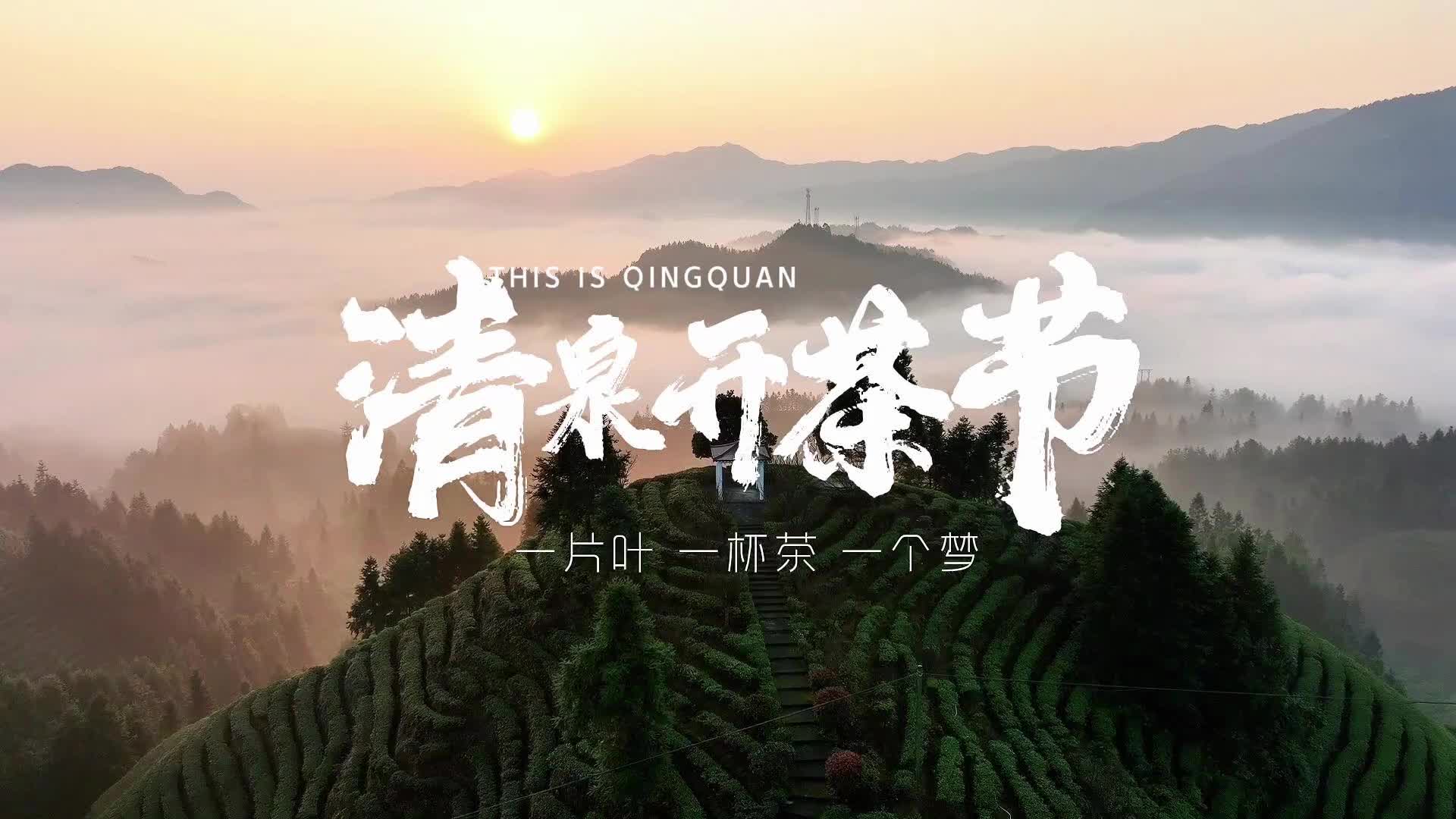 《清泉开茶节》 ——清泉镇·茶叶之乡生态与匠心，成就一杯中国好茶
