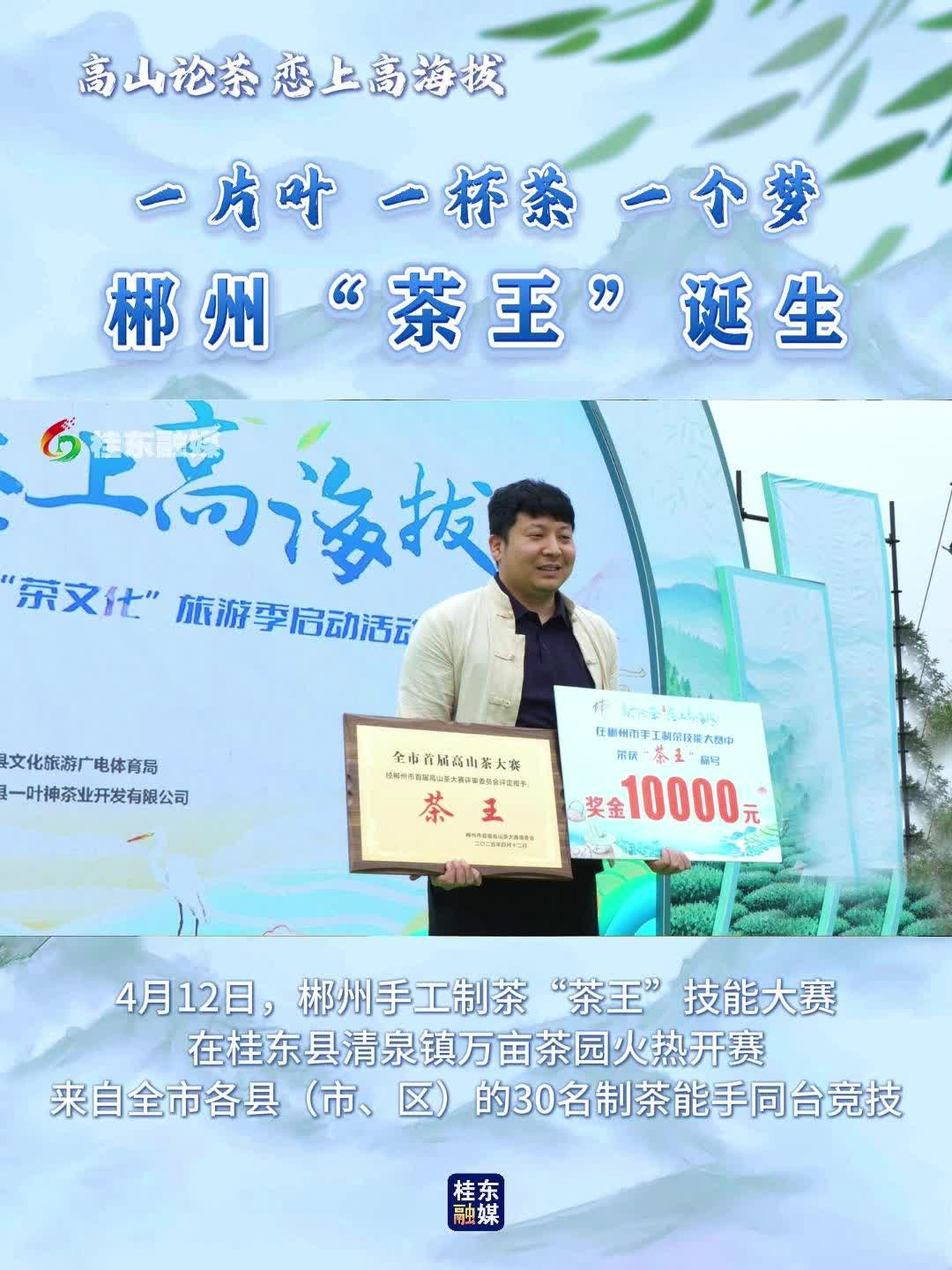 一片叶 一杯茶 一个梦：郴州“茶王”诞生