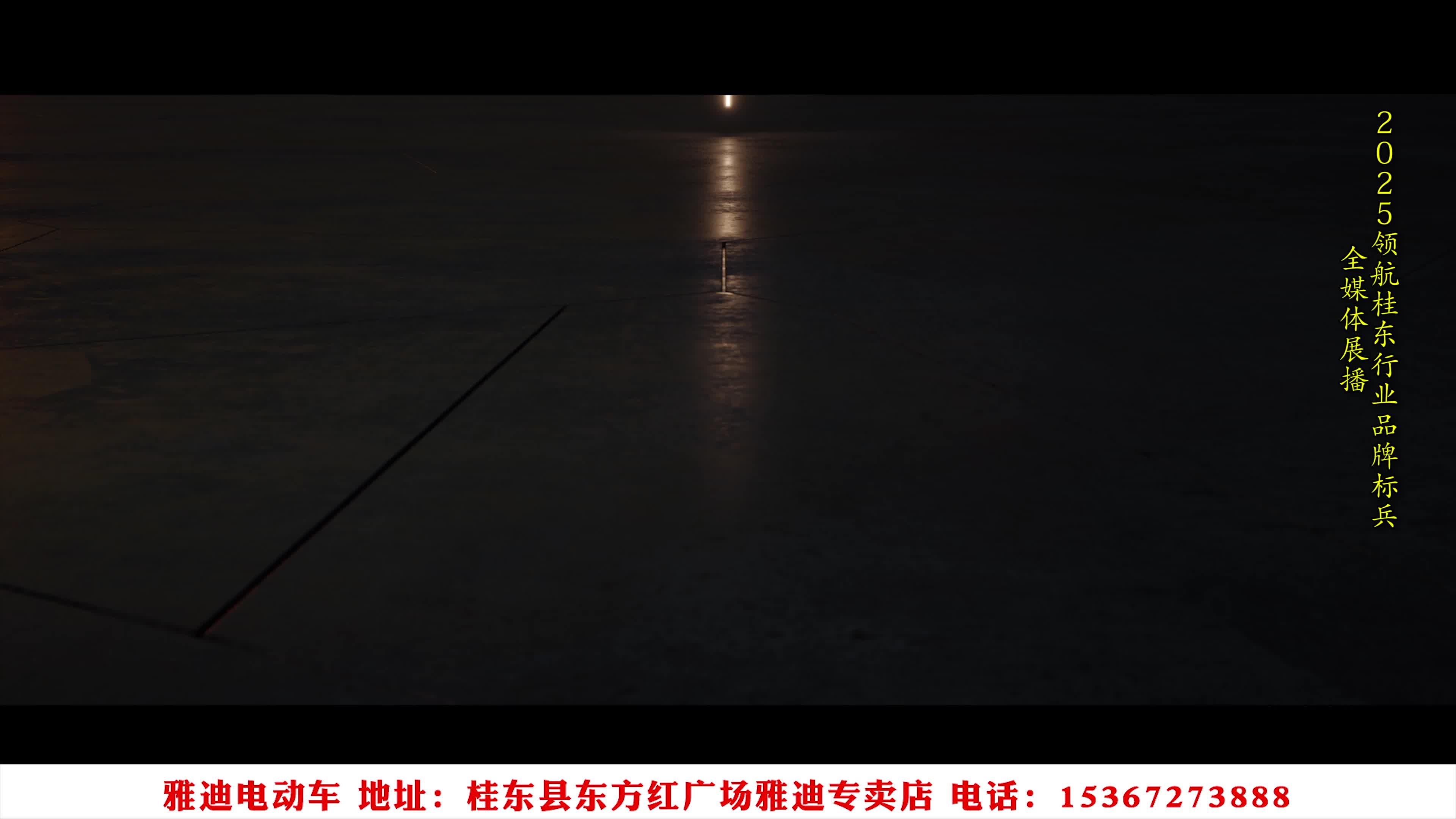 奋进新征程，建功新时代 我宣誓  我诚信——启航2025，桂东行业品牌全媒体展播：桂东雅迪