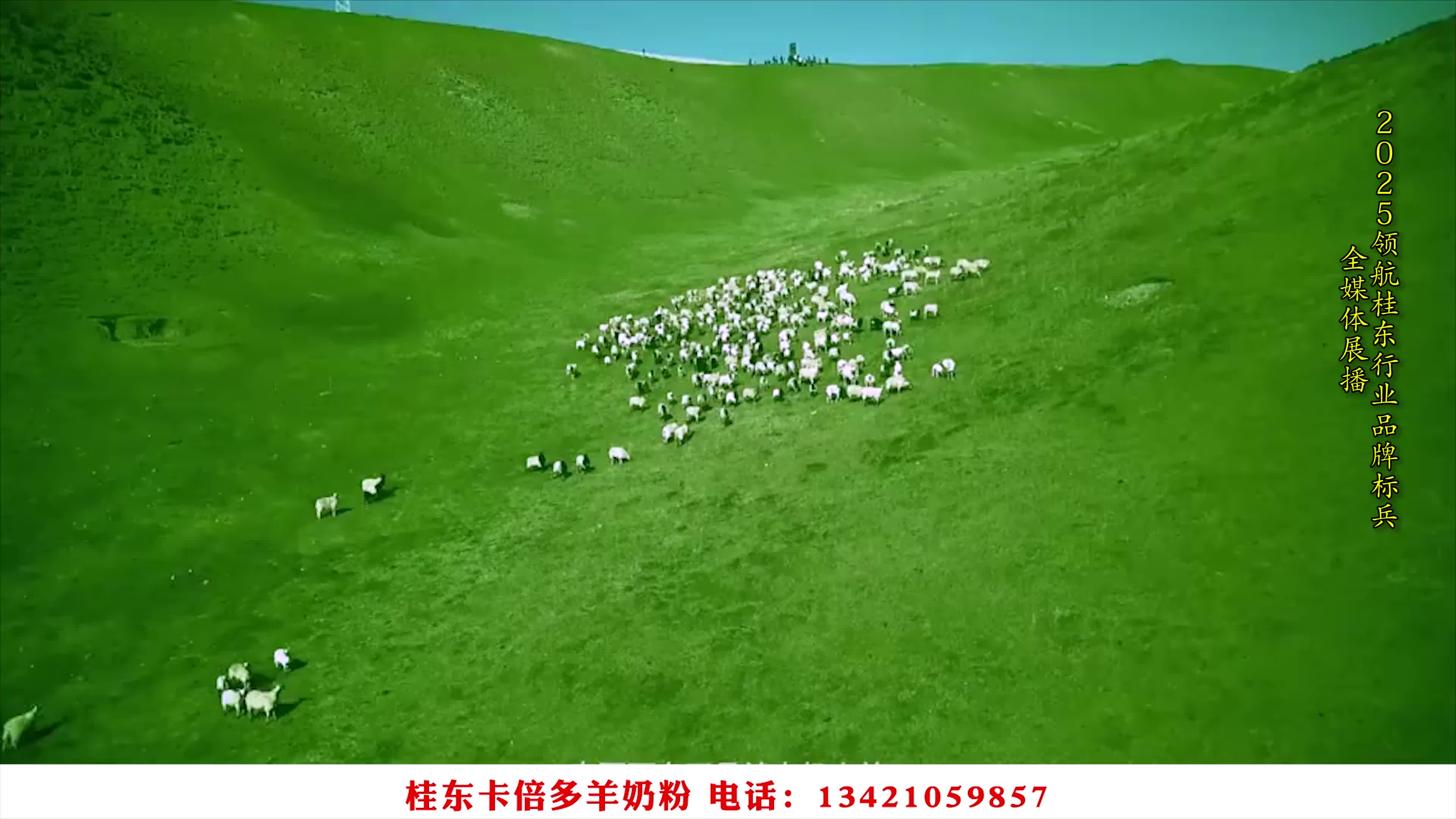 奋进新征程，建功新时代 我宣誓  我诚信——启航2025，桂东行业品牌全媒体展播：桂东卡倍多羊奶粉