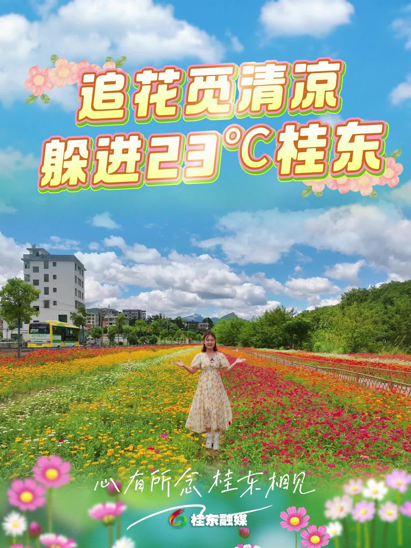追花觅清凉，躲进23℃的桂东