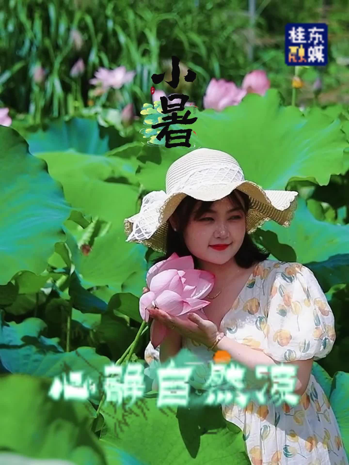 小暑|心静自然凉