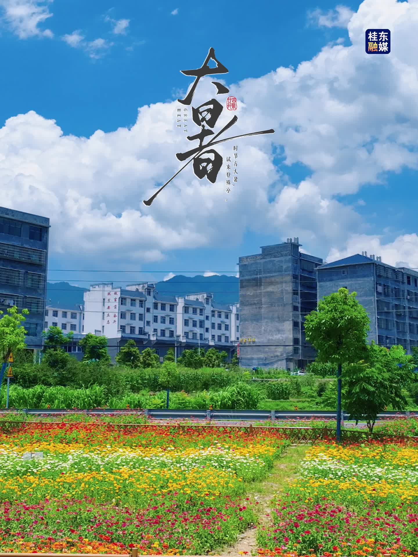 【二十四节气】大暑至，桂东却藏着 23℃的午后清风。草木正盛，凉粉清甜，这方清凉里，藏着最舒服的夏日模样。——大暑