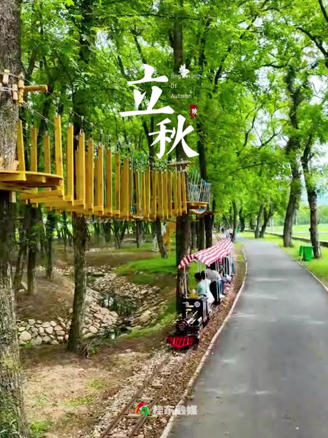 【二十四节气】凉风至，秋意起；暑气渐收，秋色入眸；山风藏凉意，木叶始动秋声。——立秋