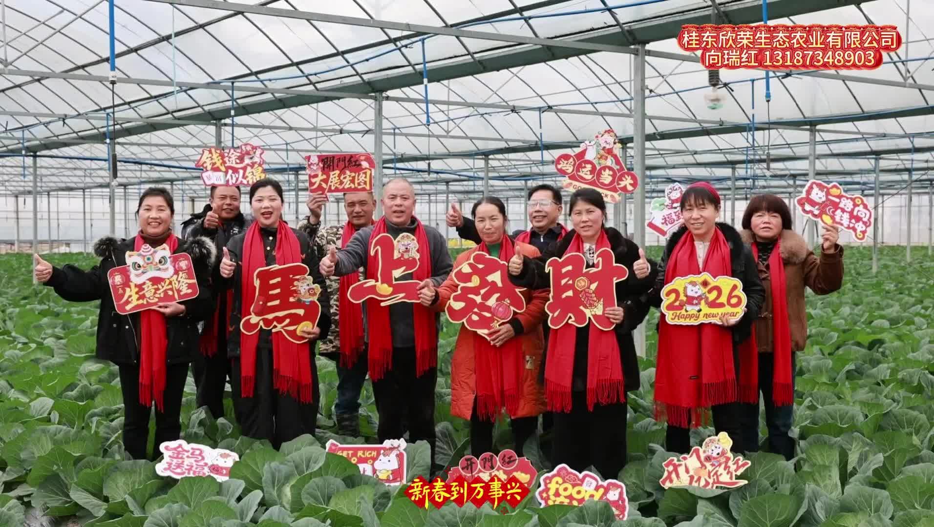 拜年啦！桂东欣荣生态农业祝您马上有颜、马上有钱、新年快乐！