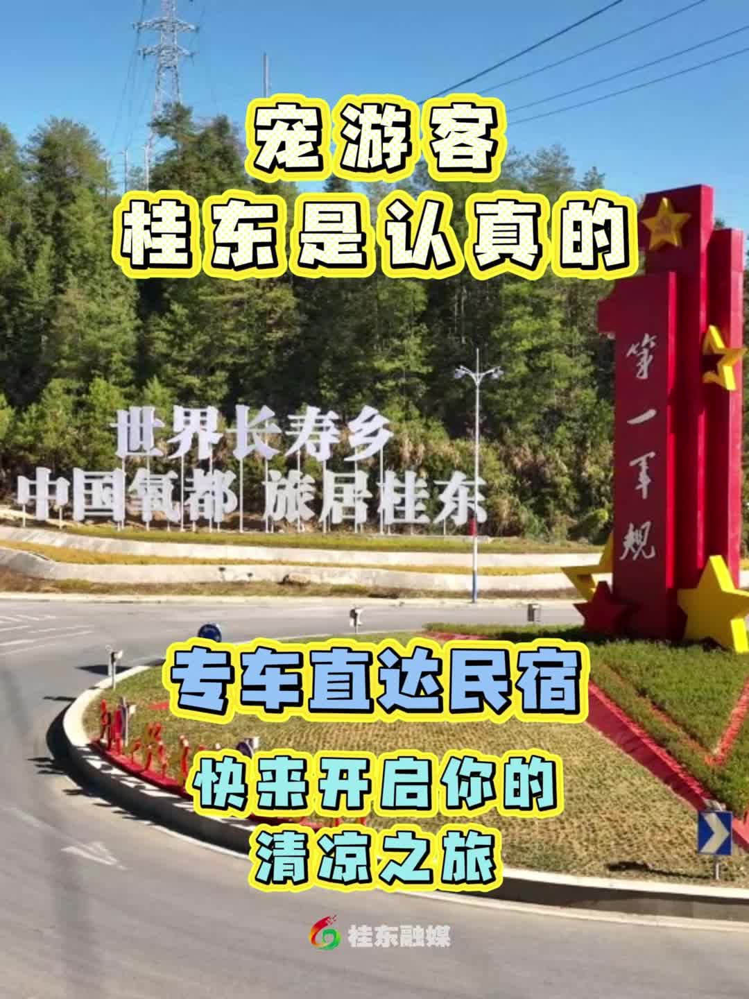 宠游客桂东是认真的，专车直达民宿！快来开启你的清凉之旅