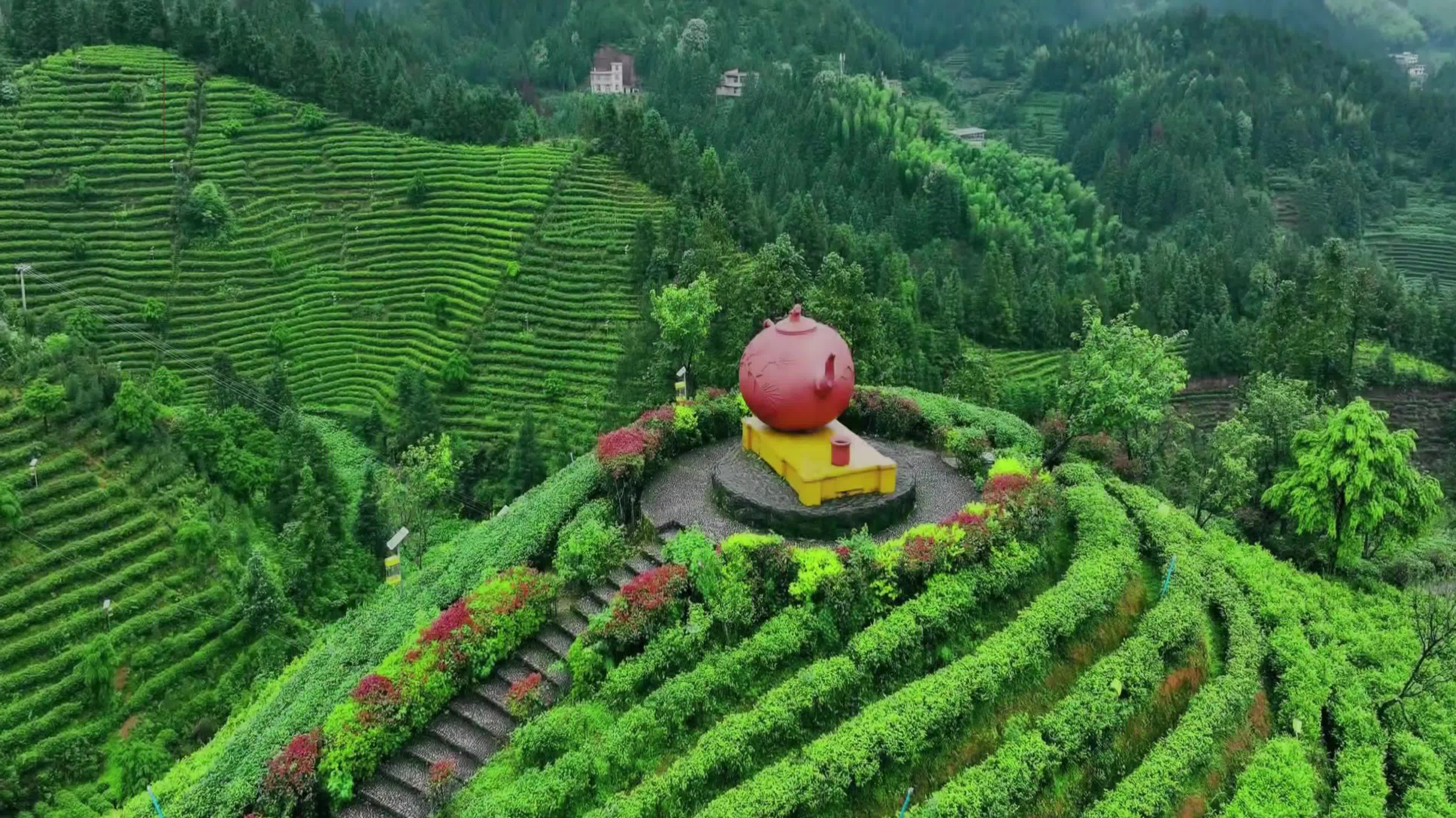 桂东在高处 畲家出好茶——蓝利丽与“蓝老爹”的茶韵富民传奇