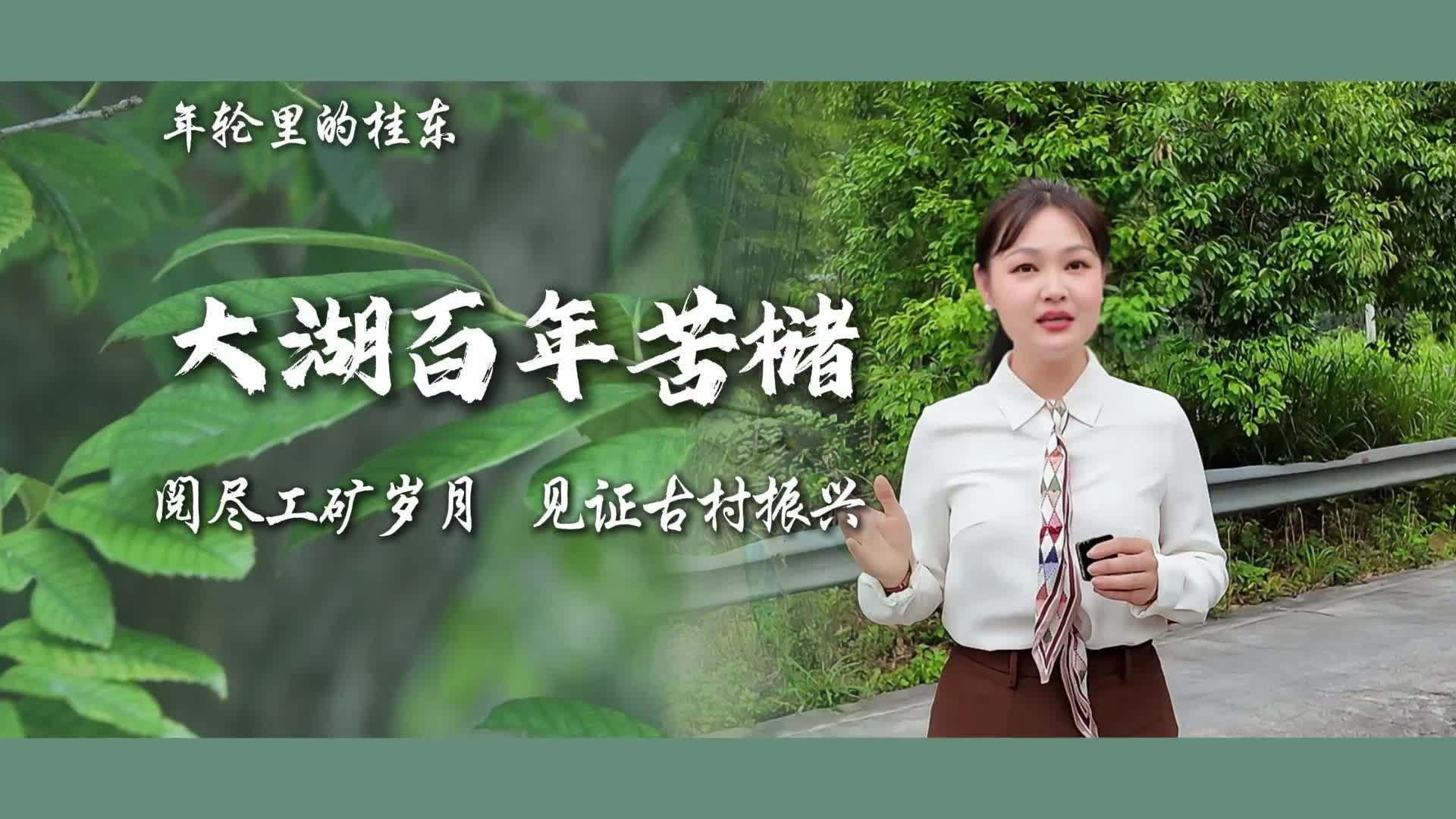 年轮里的桂东 | 大湖百年苦槠：阅尽工矿岁月 见证古村振兴