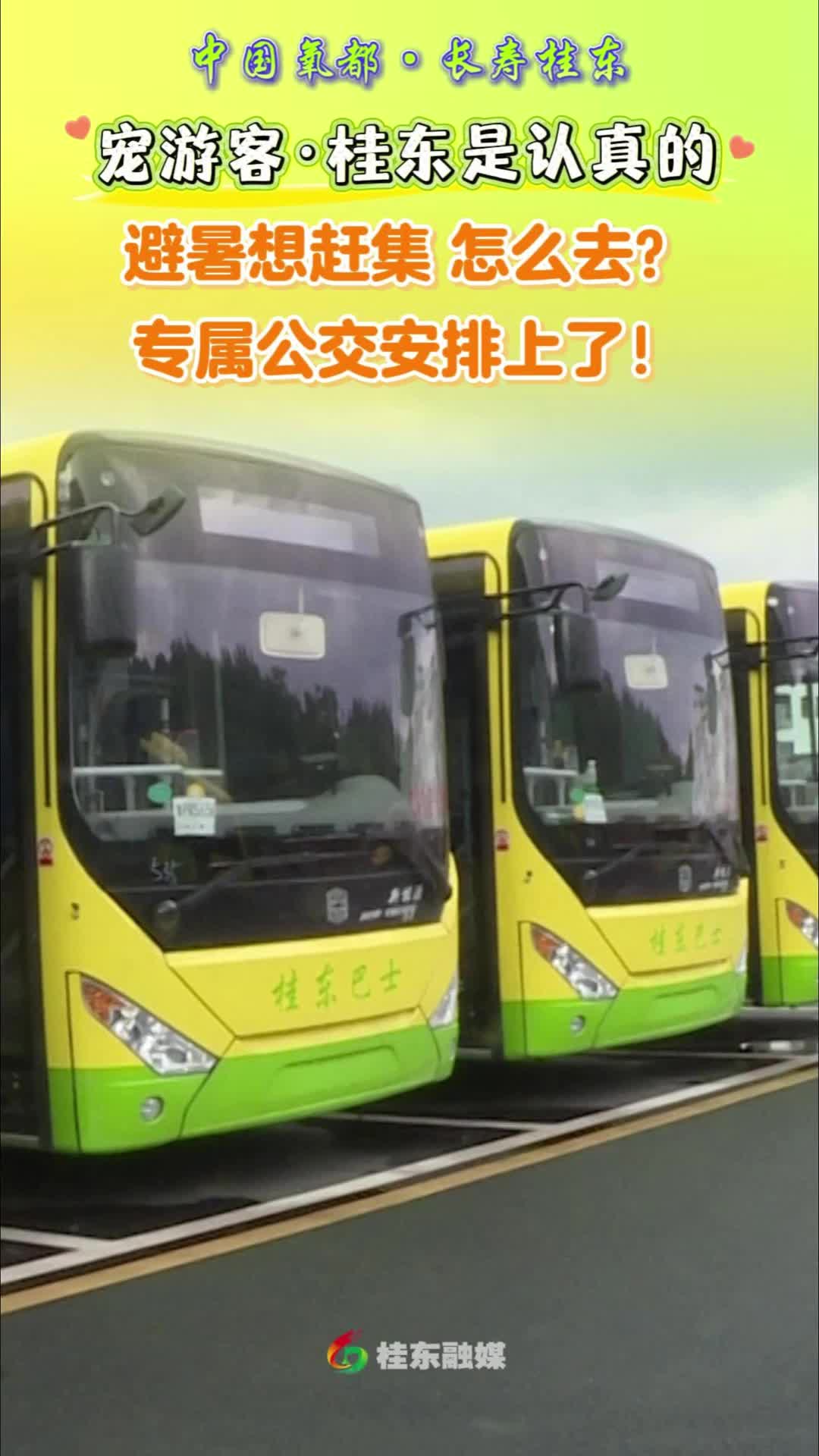 宠游客 桂东是认真的｜避暑想赶集，怎么去？专属公交安排上了