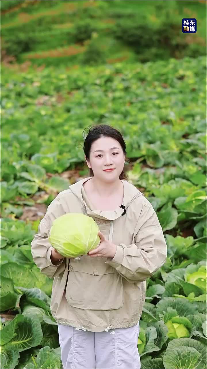 探秘桂东泡菜：高山“氧”育鲜脆 科技“酵”醒美味