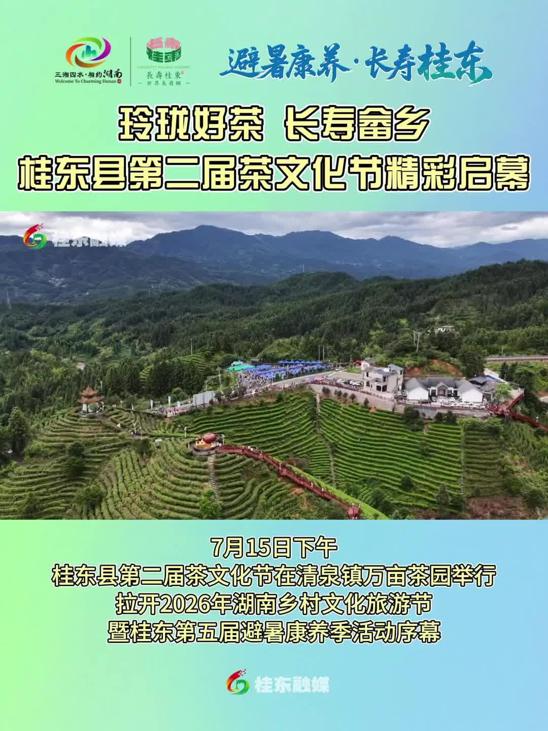 玲珑好茶 长寿畲乡|桂东县第二届茶文化节精彩启幕